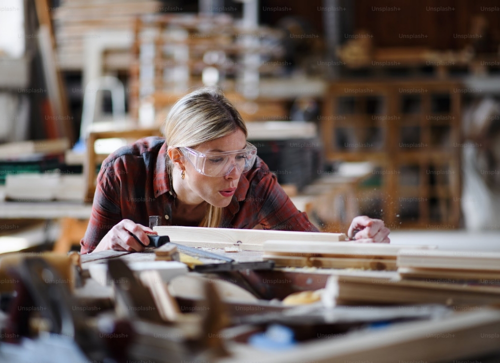 Karl Vogt, Geschäftsleitung